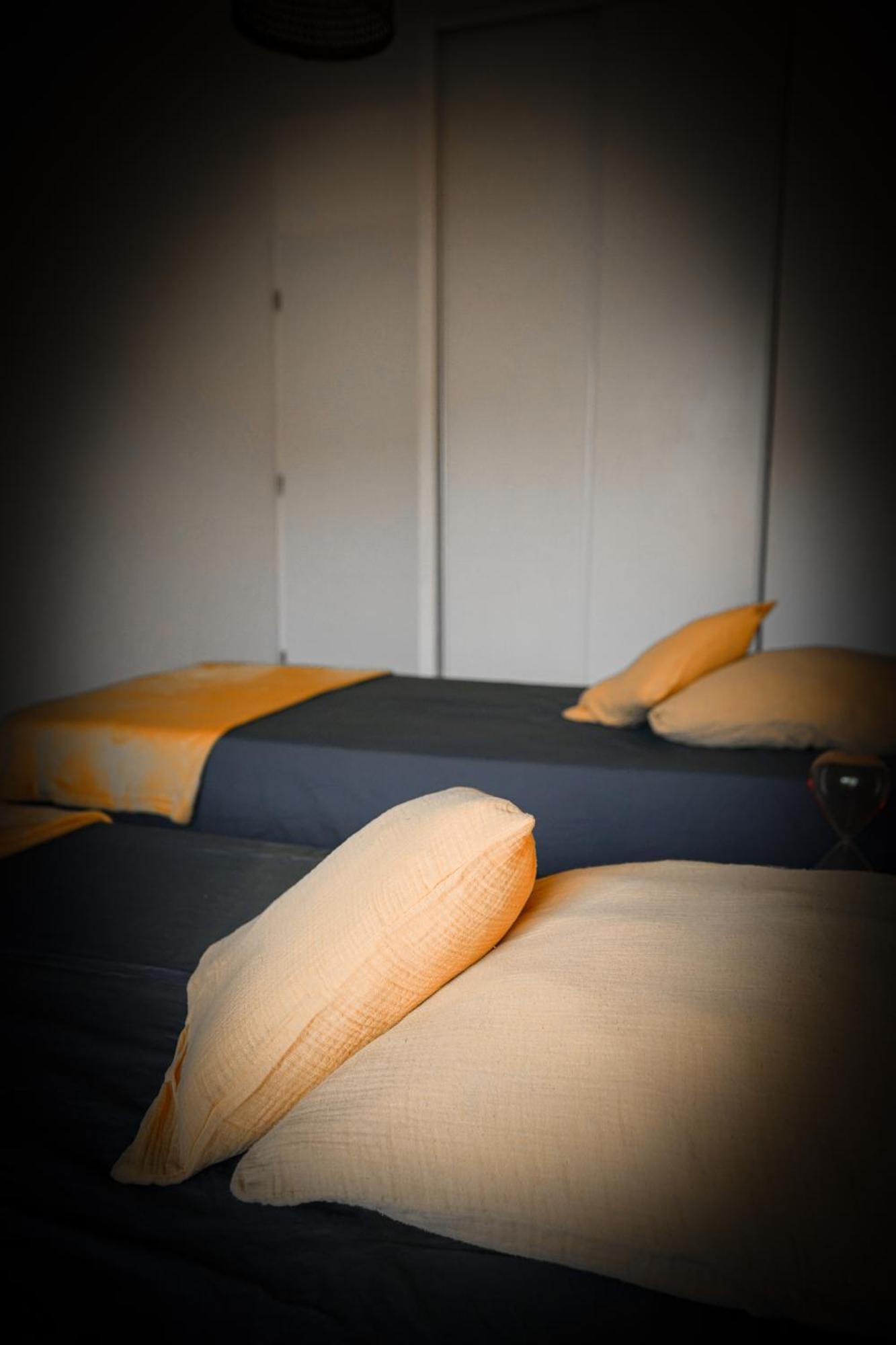 Bel Appartement Climatise & Parking Perpignan Bagian luar foto